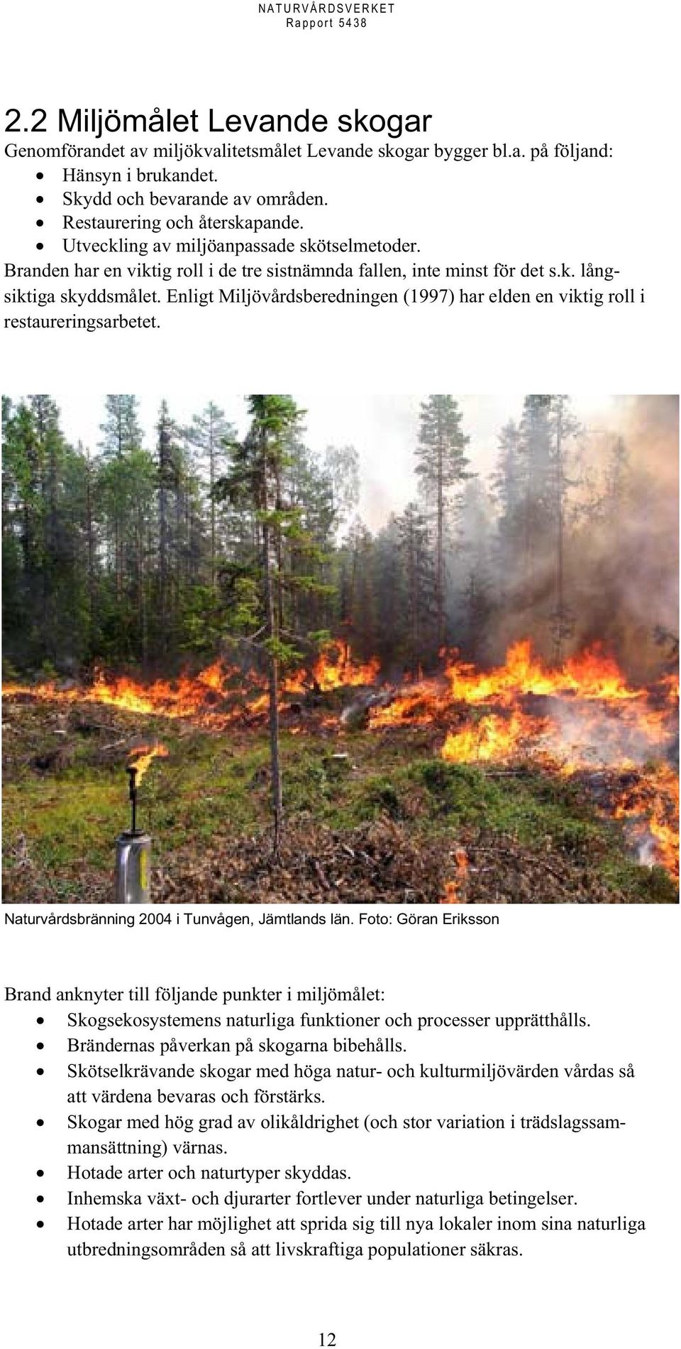 Enligt Miljövårdsberedningen (1997) har elden en viktig roll i restaureringsarbetet. Naturvårdsbränning 2004 i Tunvågen, Jämtlands län.