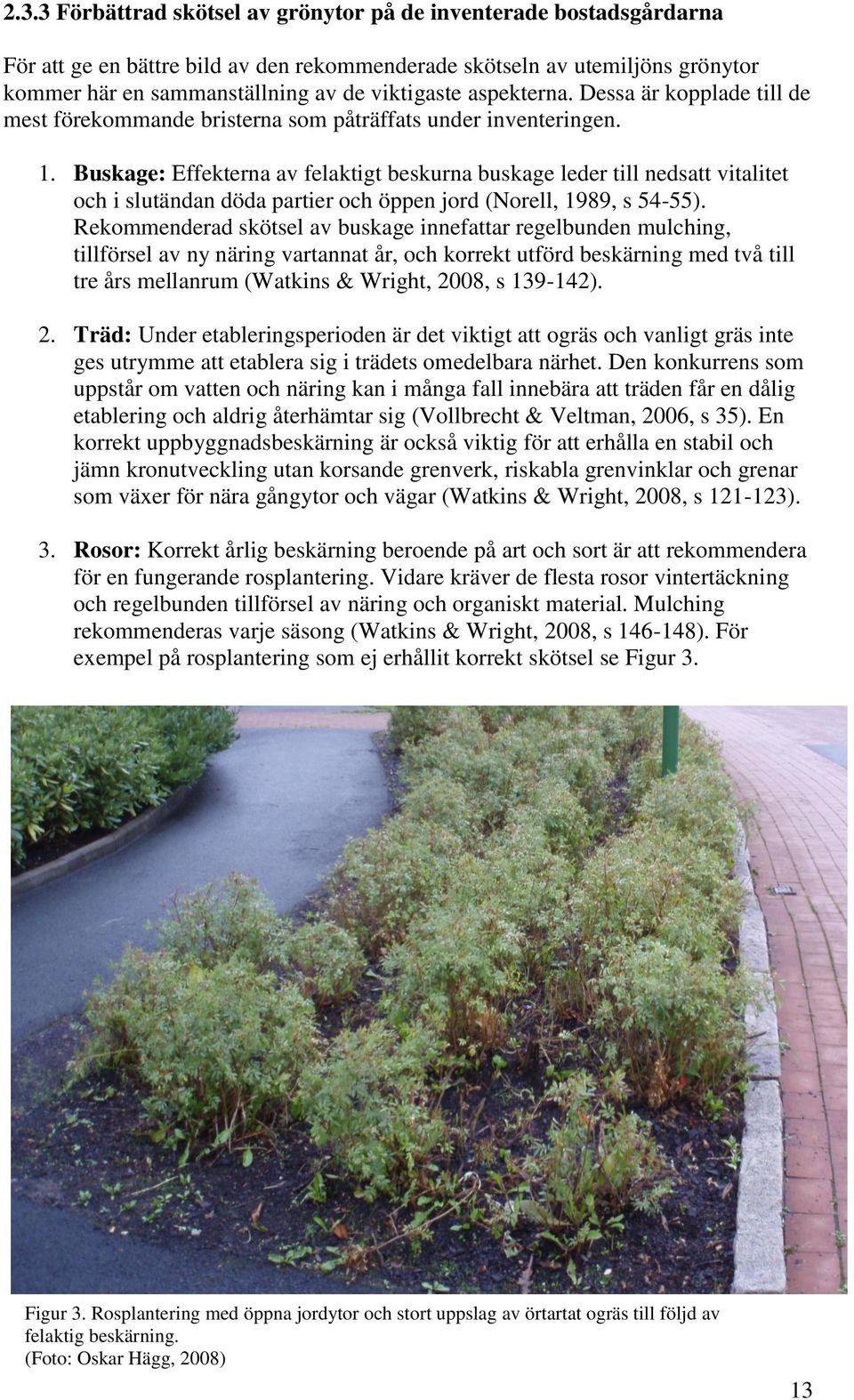 Buskage: Effekterna av felaktigt beskurna buskage leder till nedsatt vitalitet och i slutändan döda partier och öppen jord (Norell, 1989, s 54-55).