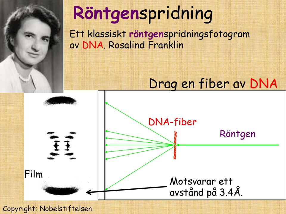 Rosalind Franklin Drag en fiber av DNA