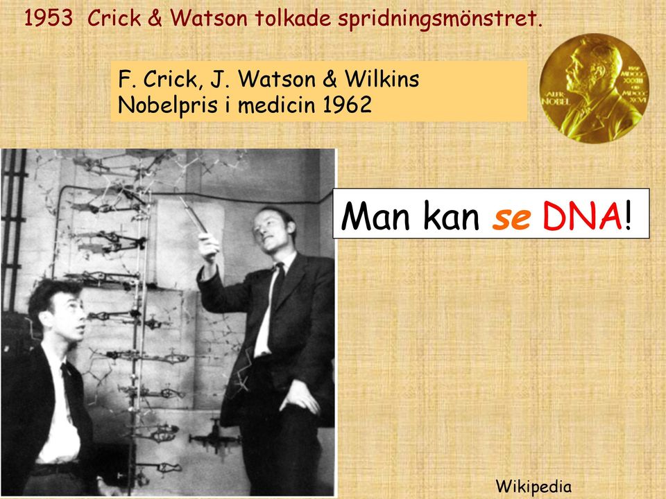 Watson & Wilkins Nobelpris i