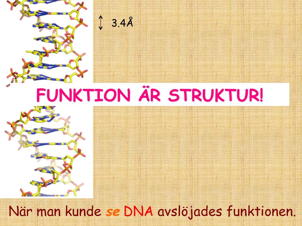 När man kunde se