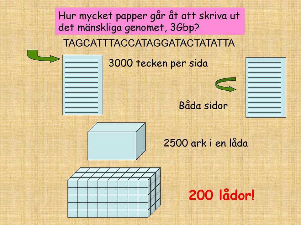 TAGCATTTACCATAGGATACTATATTA 3000 tecken