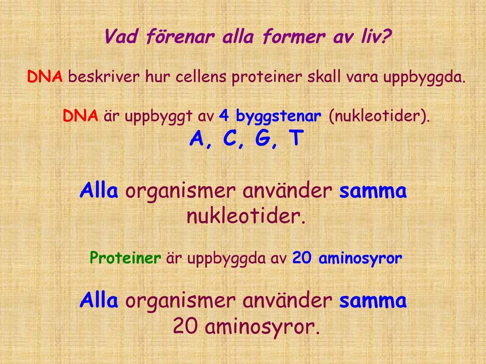 DNA är uppbyggt av 4 byggstenar (nukleotider).