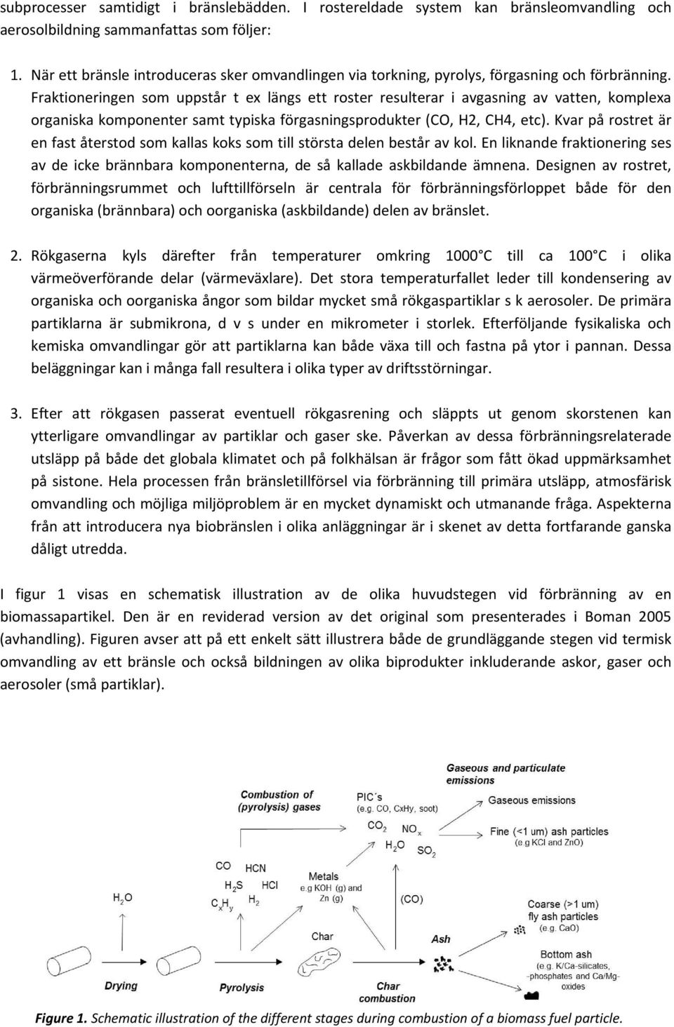 Fraktioneringen som uppstår t ex längs ett roster resulterar i avgasning av vatten, komplexa organiska komponenter samt typiska förgasningsprodukter (CO, H2, CH4, etc).