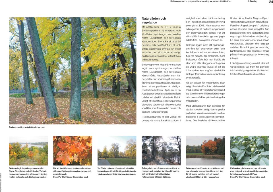 Bellevueparken Haga-Brunnsviken ingår som spridningszon mellan Norra Djurgården och Ulriksdals kärnområde.