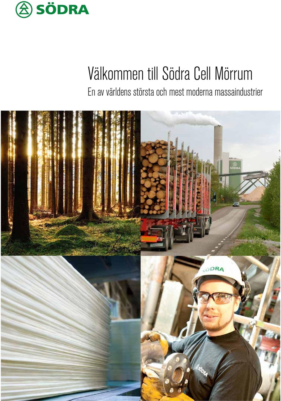 världens största och