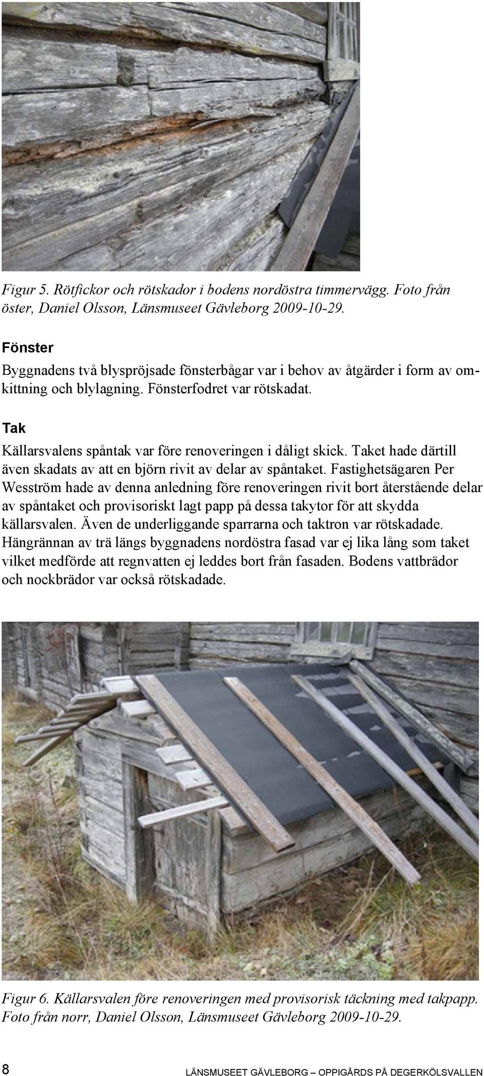 Tak Källarsvalens spåntak var före renoveringen i dåligt skick. Taket hade därtill även skadats av att en björn rivit av delar av spåntaket.