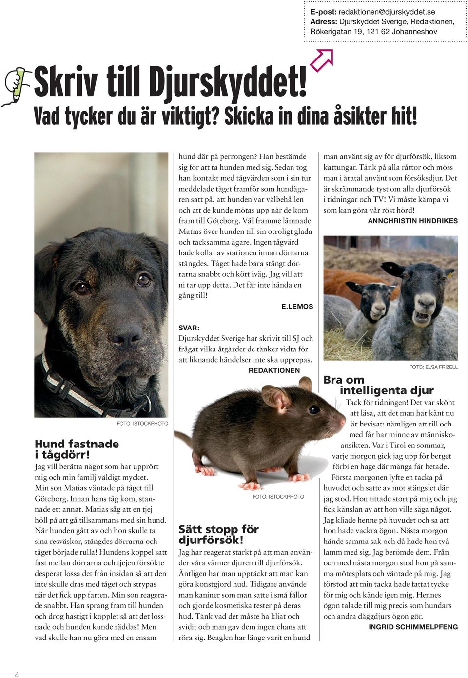 Sedan tog han kontakt med tågvärden som i sin tur meddelade tåget framför som hundägaren satt på, att hunden var välbehållen och att de kunde mötas upp när de kom fram till Göteborg.