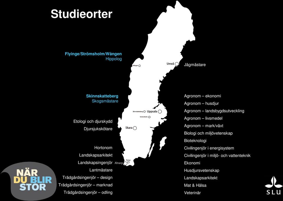 odling Agronom ekonomi Agronom husdjur Agronom landsbygdsutveckling Agronom livsmedel Agronom mark/växt Biologi och