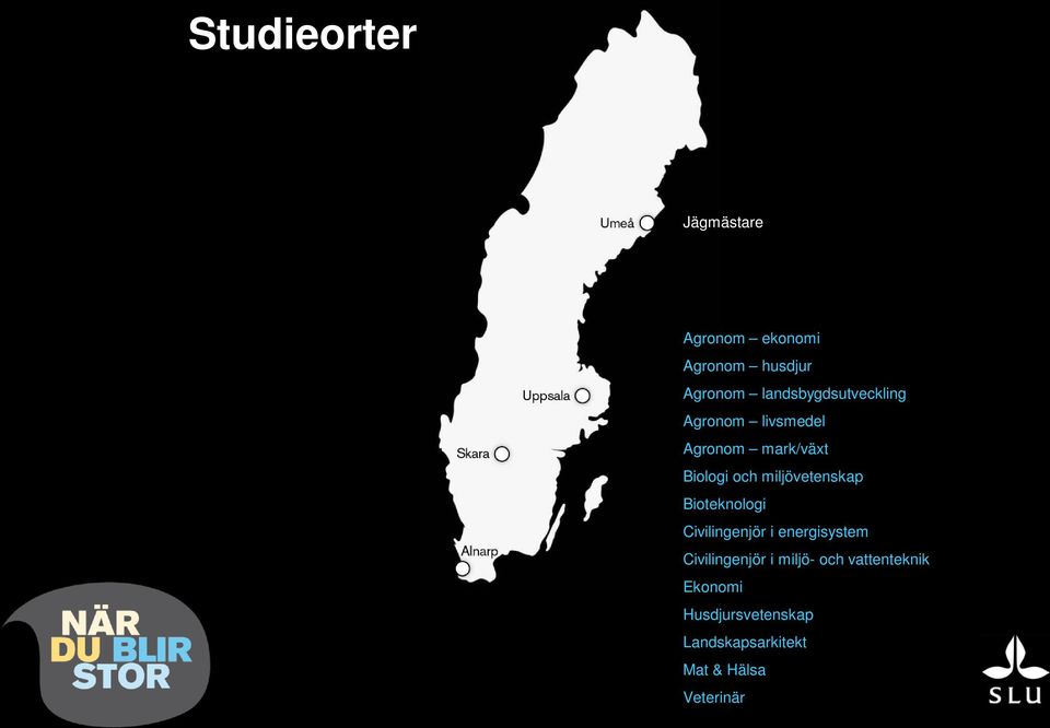 miljövetenskap Bioteknologi Civilingenjör i energisystem