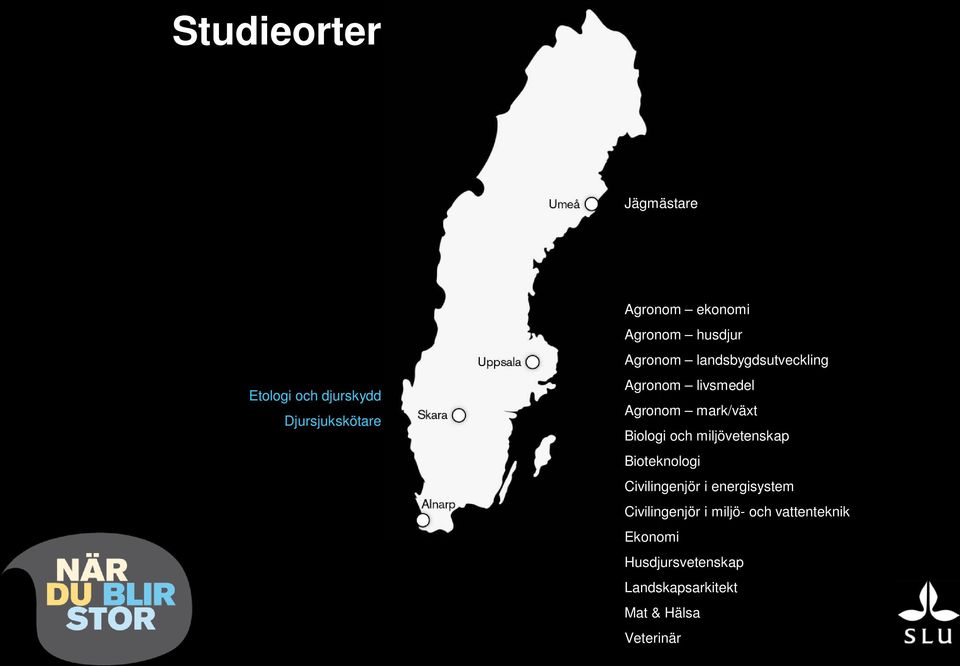 mark/växt Biologi och miljövetenskap Bioteknologi Civilingenjör i energisystem