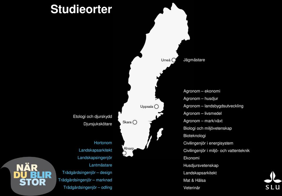 Agronom landsbygdsutveckling Agronom livsmedel Agronom mark/växt Biologi och miljövetenskap Bioteknologi