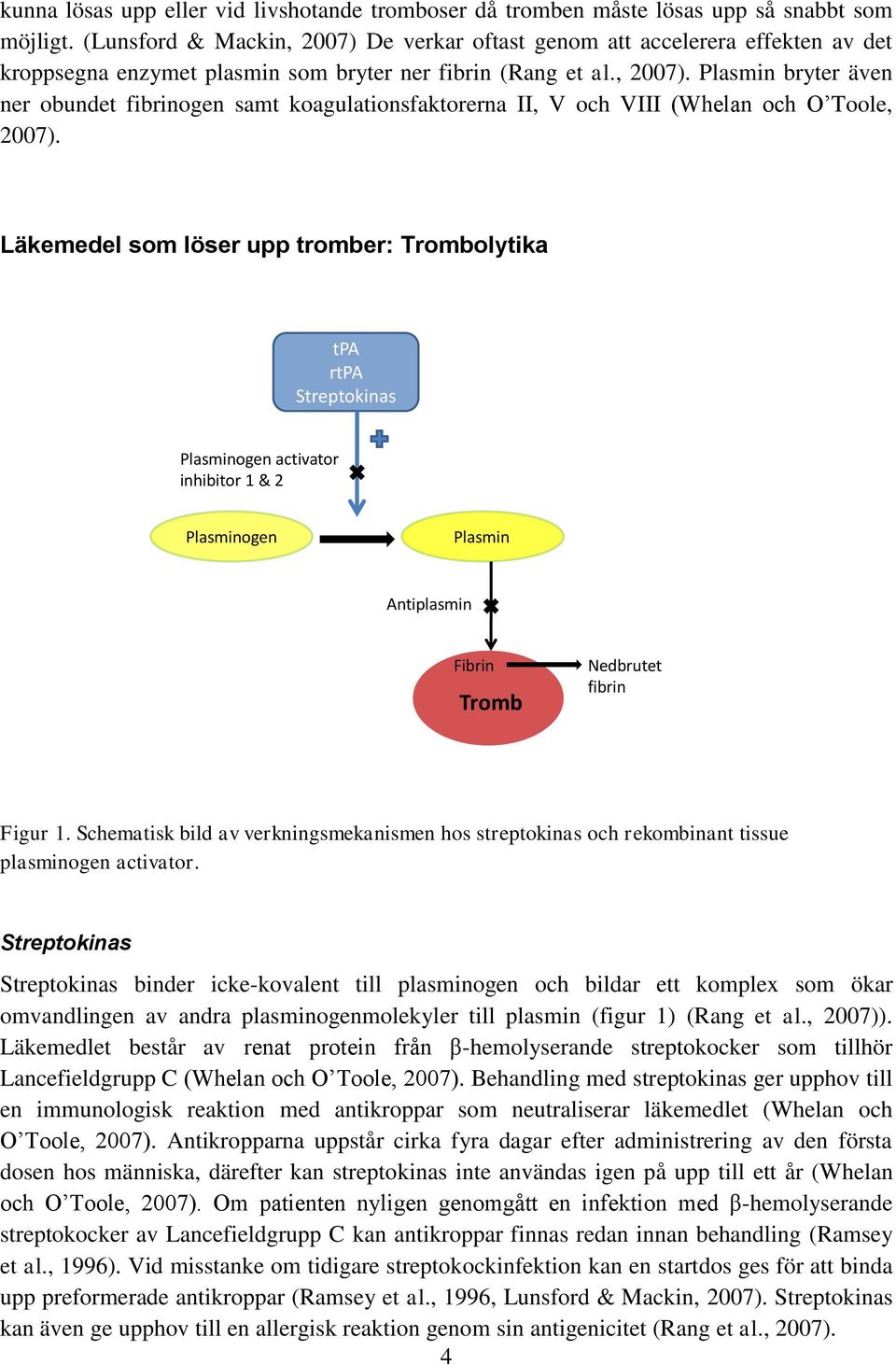 Läkemedel som löser upp tromber: Trombolytika tpa rtpa Streptokinas Plasminogen activator inhibitor 1 & 2 Plasminogen Plasmin Antiplasmin Fibrin Tromb Nedbrutet fibrin Figur 1.