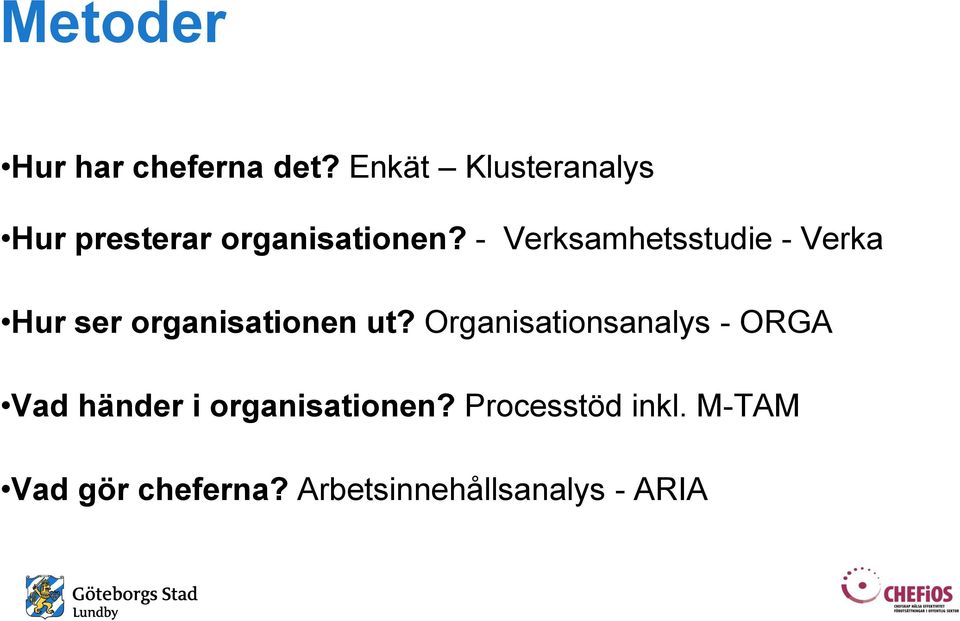 - Verksamhetsstudie - Verka Hur ser organisationen ut?