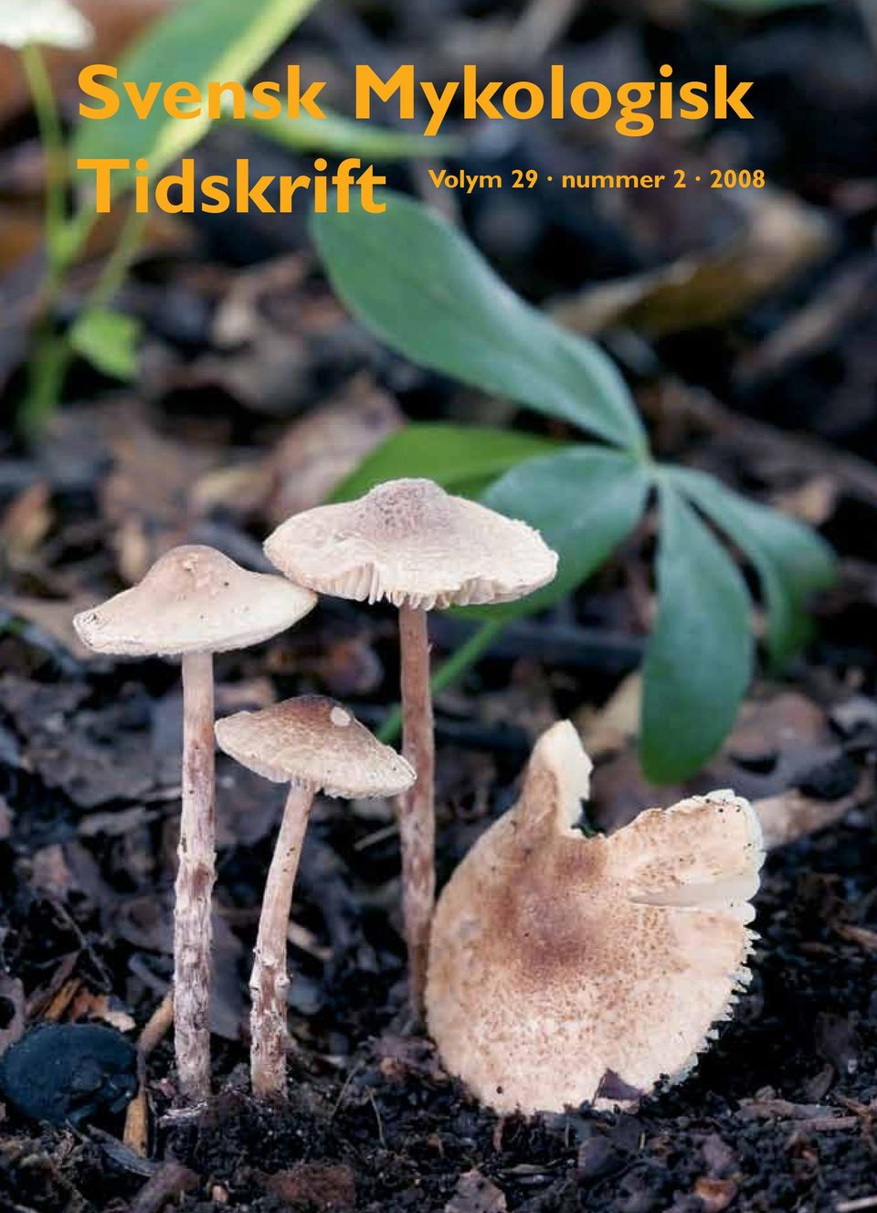 Tidskrift