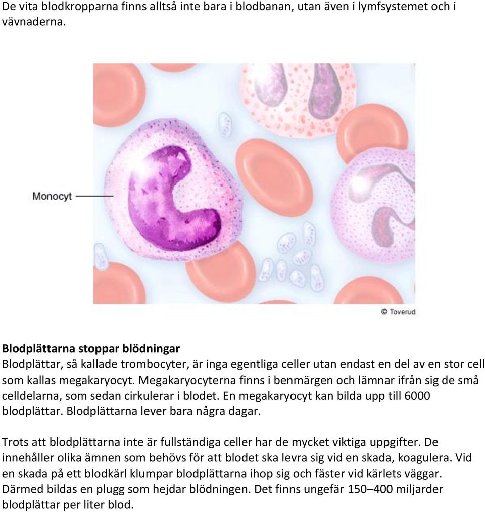 Megakaryocyterna finns i benmärgen och lämnar ifrån sig de små celldelarna, som sedan cirkulerar i blodet. En megakaryocyt kan bilda upp till 6000 blodplättar. Blodplättarna lever bara några dagar.