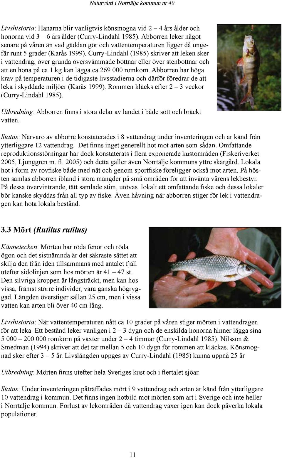 Curry-Lindahl (1985) skriver att leken sker i vattendrag, över grunda översvämmade bottnar eller över stenbottnar och att en hona på ca 1 kg kan lägga ca 269 000 romkorn.