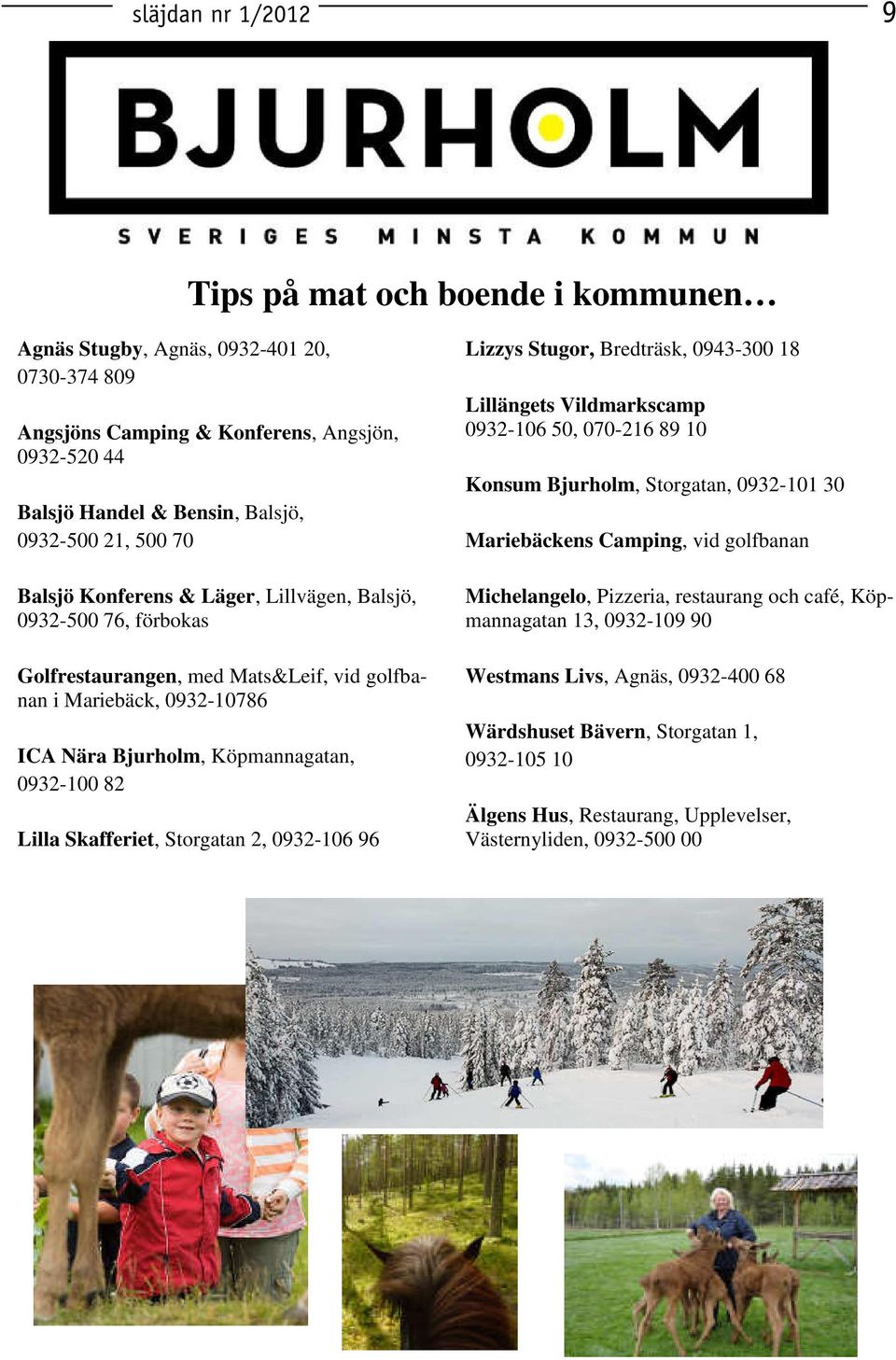 Skafferiet, Storgatan 2, 0932-106 96 Lizzys Stugor, Bredträsk, 0943-300 18 Lillängets Vildmarkscamp 0932-106 50, 070-216 89 10 Konsum Bjurholm, Storgatan, 0932-101 30 Mariebäckens Camping, vid