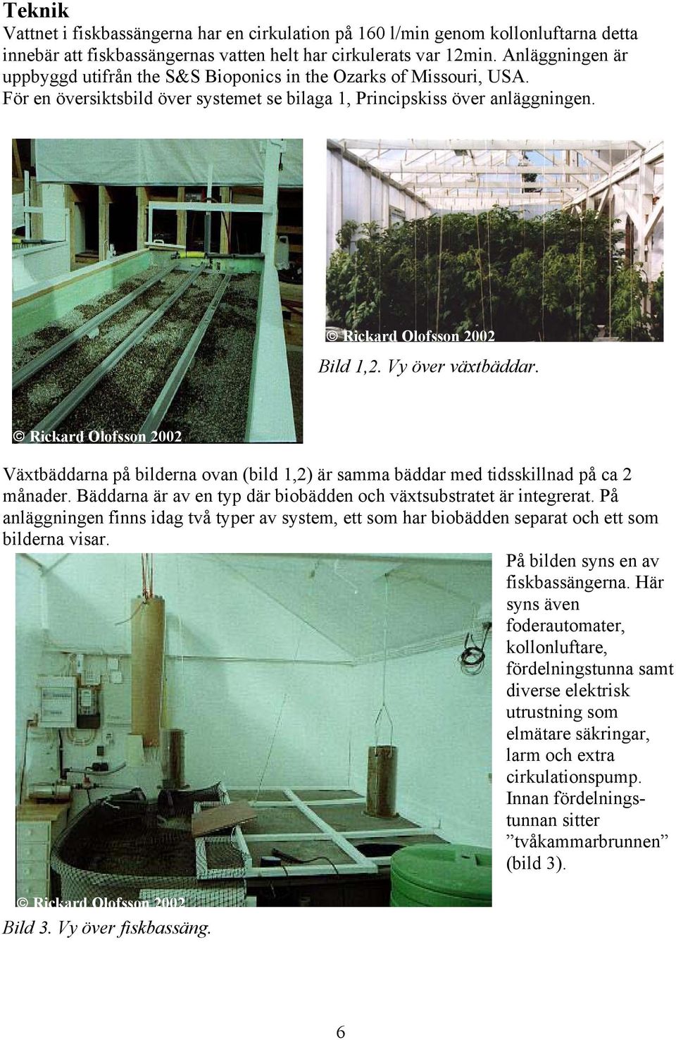 Vy över växtbäddar. Rickard Olofsson 2002 Växtbäddarna på bilderna ovan (bild 1,2) är samma bäddar med tidsskillnad på ca 2 månader.