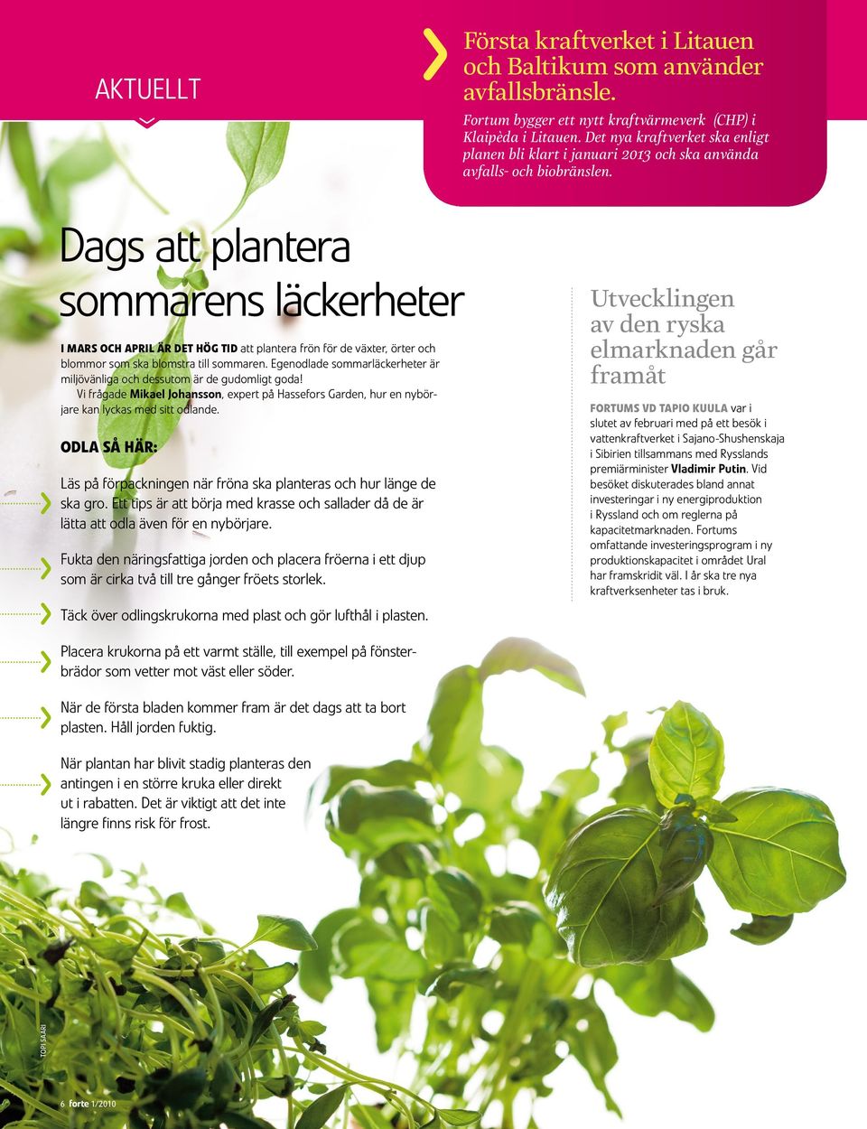 Dags att plantera sommarens läckerheter I mars och april är det hög tid att plantera frön för de växter, örter och blommor som ska blomstra till sommaren.