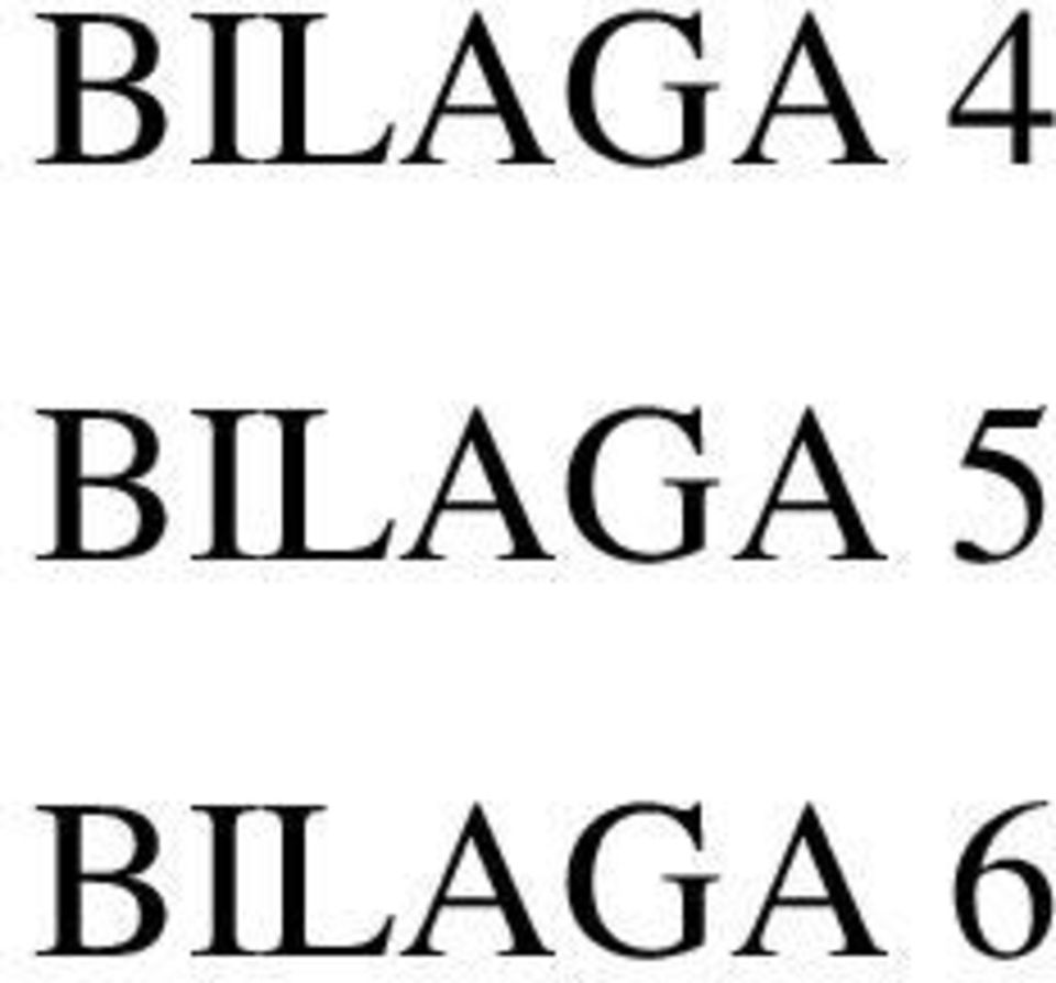 BILAGA 6