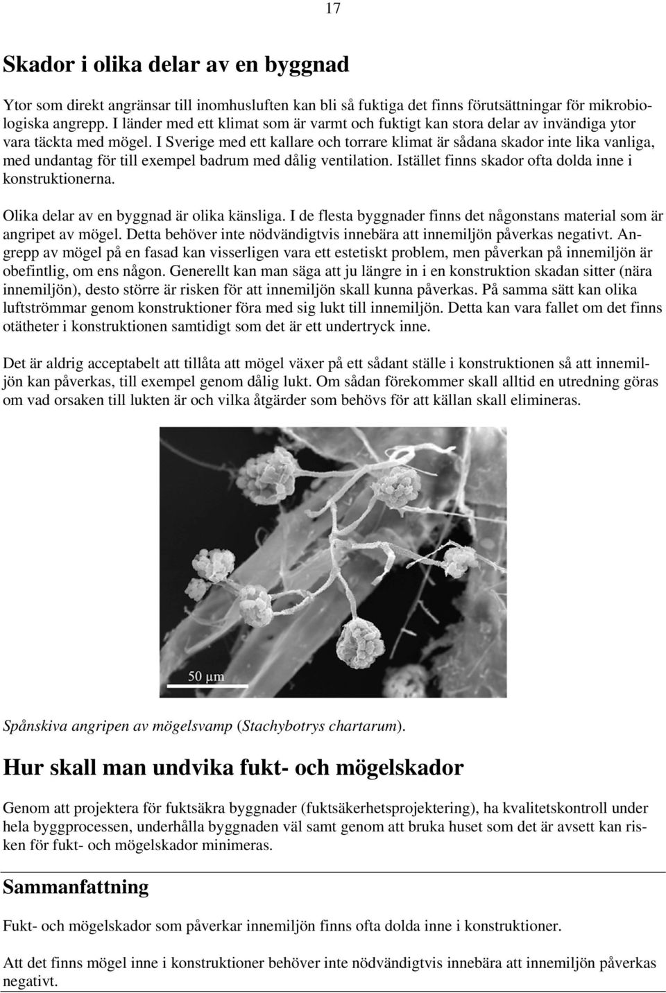 I Sverige med ett kallare och torrare klimat är sådana skador inte lika vanliga, med undantag för till exempel badrum med dålig ventilation. Istället finns skador ofta dolda inne i konstruktionerna.