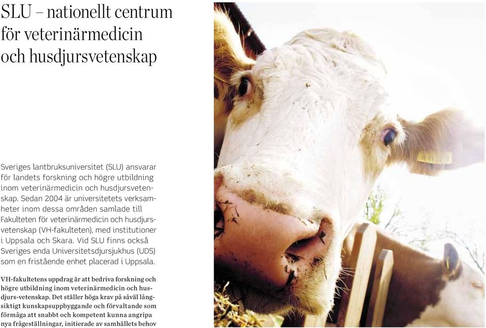 Sedan 2004 är universitetets verksamheter inom dessa områden samlade till Fakulteten för veterinärmedicin och husdjursvetenskap (VH-fakulteten), med institutioner i Uppsala och Skara.