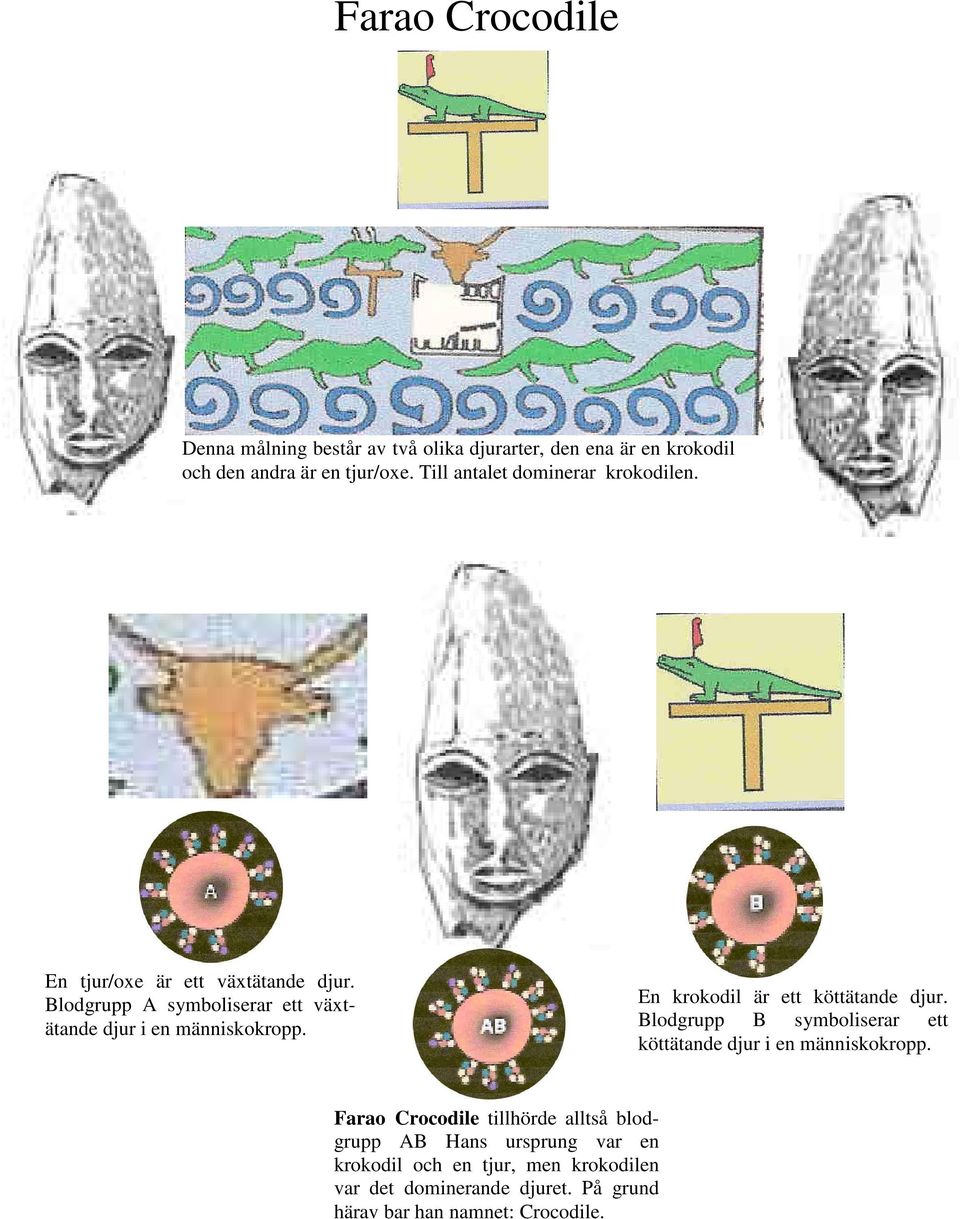 Blodgrupp A symboliserar ett växtätande djur i en människokropp. En krokodil är ett köttätande djur.