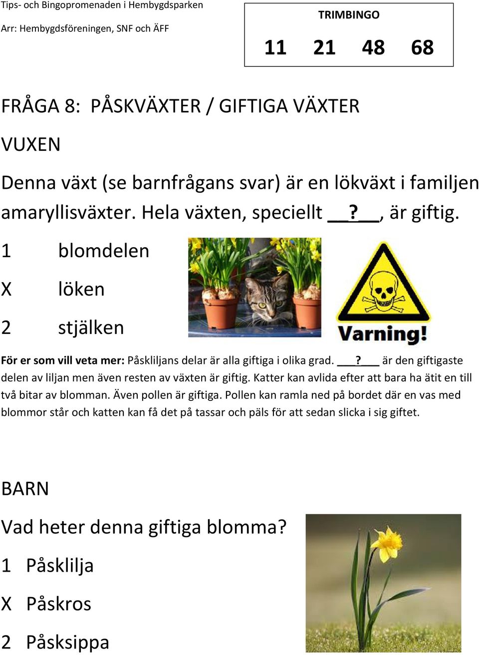 ? är den giftigaste delen av liljan men även resten av växten är giftig. Katter kan avlida efter att bara ha ätit en till två bitar av blomman.