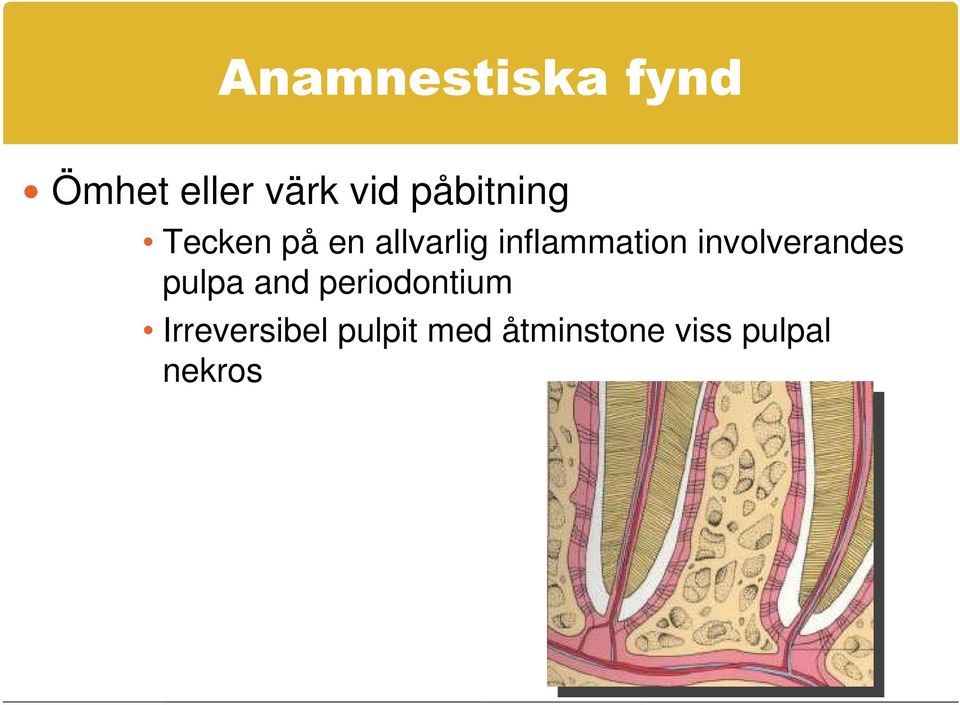 inflammation involverandes pulpa and