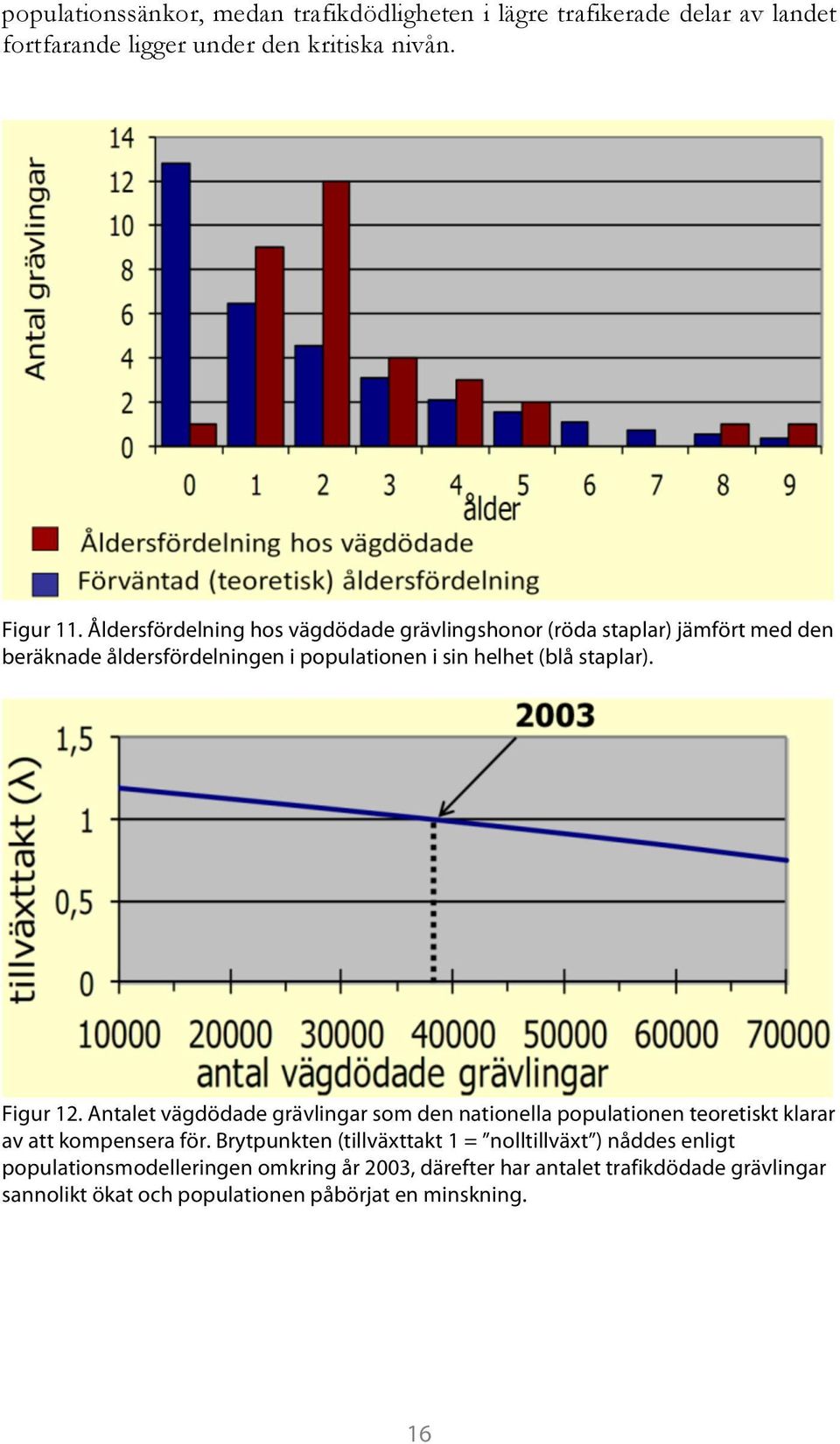 Figur 12. Antalet vägdödade grävlingar som den nationella populationen teoretiskt klarar av att kompensera för.