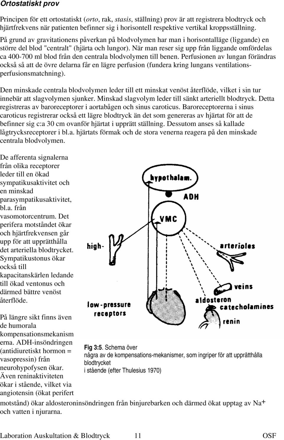 När man reser sig upp från liggande omfördelas ca 400-700 ml blod från den centrala blodvolymen till benen.