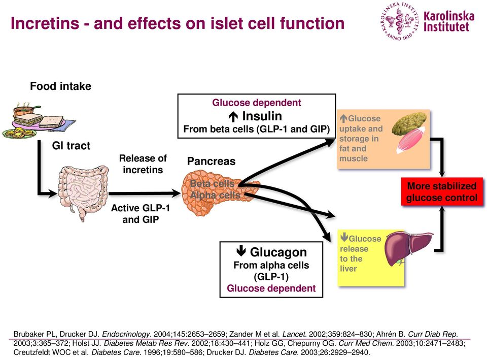 liver Brubaker PL, Drucker DJ. Endocrinology. 2004;145:2653 2659; Zander M et al. Lancet. 2002;359:824 830; Ahrén B. Curr Diab Rep. 2003;3:365 372; Holst JJ.