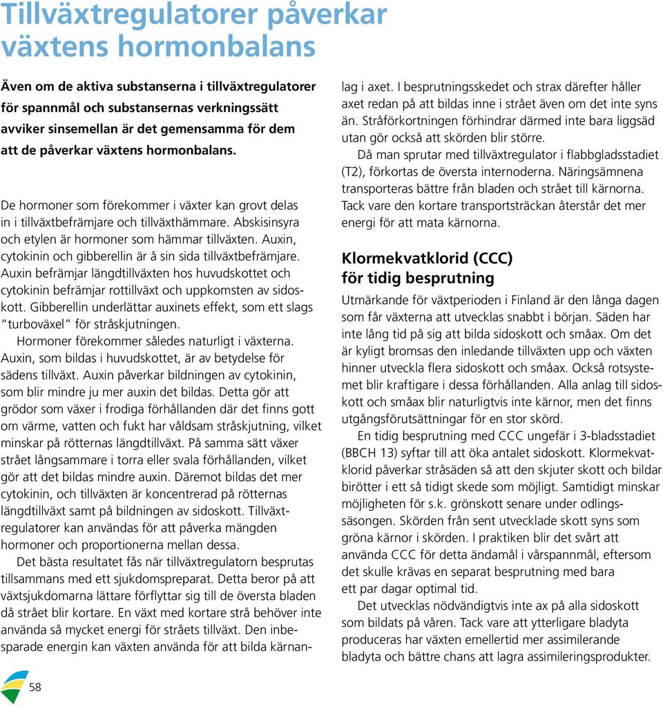 Auxin, cytokinin och gibberellin är å sin sida tillväxtbefrämjare. Auxin befrämjar längdtillväxten hos huvudskottet och cytokinin befrämjar rottillväxt och uppkomsten av sidoskott.