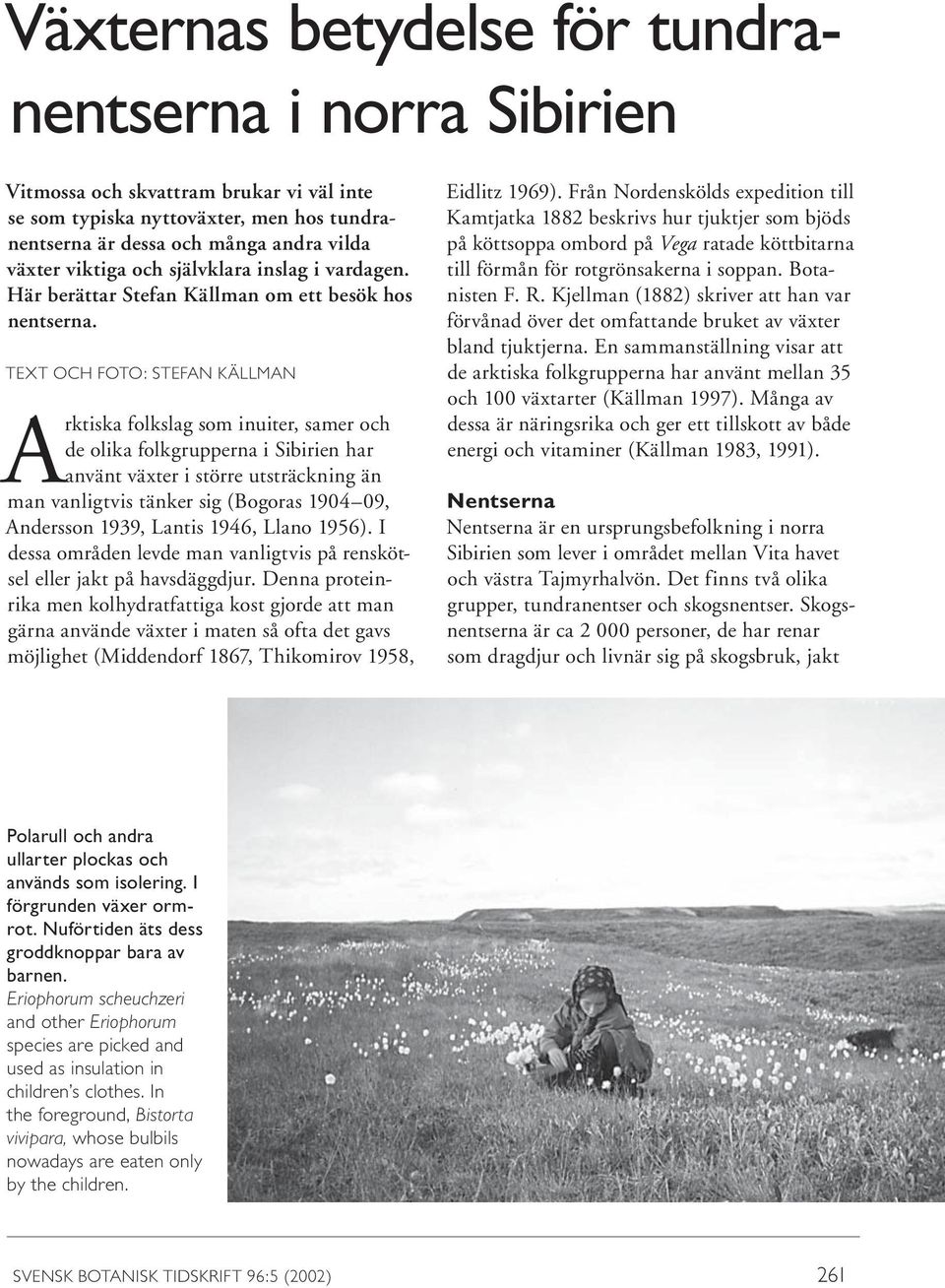 TEXT OCH FOTO: STEFAN KÄLLMAN Arktiska folkslag som inuiter, samer och de olika folkgrupperna i Sibirien har använt växter i större utsträckning än man vanligtvis tänker sig (Bogoras 1904 09,