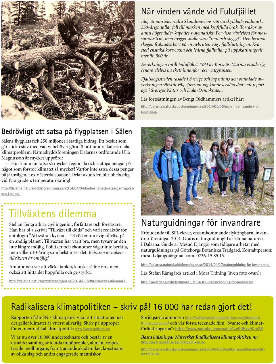 Den levande skogen fraktades bort på en nybruten väg i fjällsluttningen. Kvar stod enstaka kortvuxna och ledsna fjälltallar på uppskattningsvis mer än 500 år.