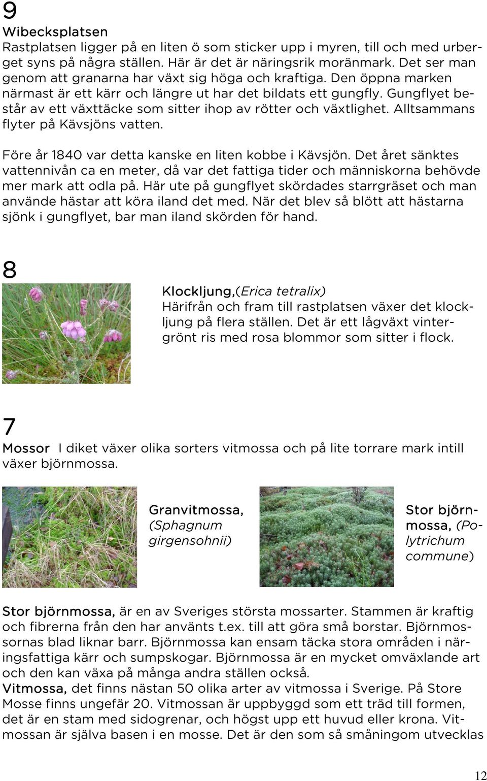 Gungflyet består av ett växttäcke som sitter ihop av rötter och växtlighet. Alltsammans flyter på Kävsjöns vatten. Före år 1840 var detta kanske en liten kobbe i Kävsjön.