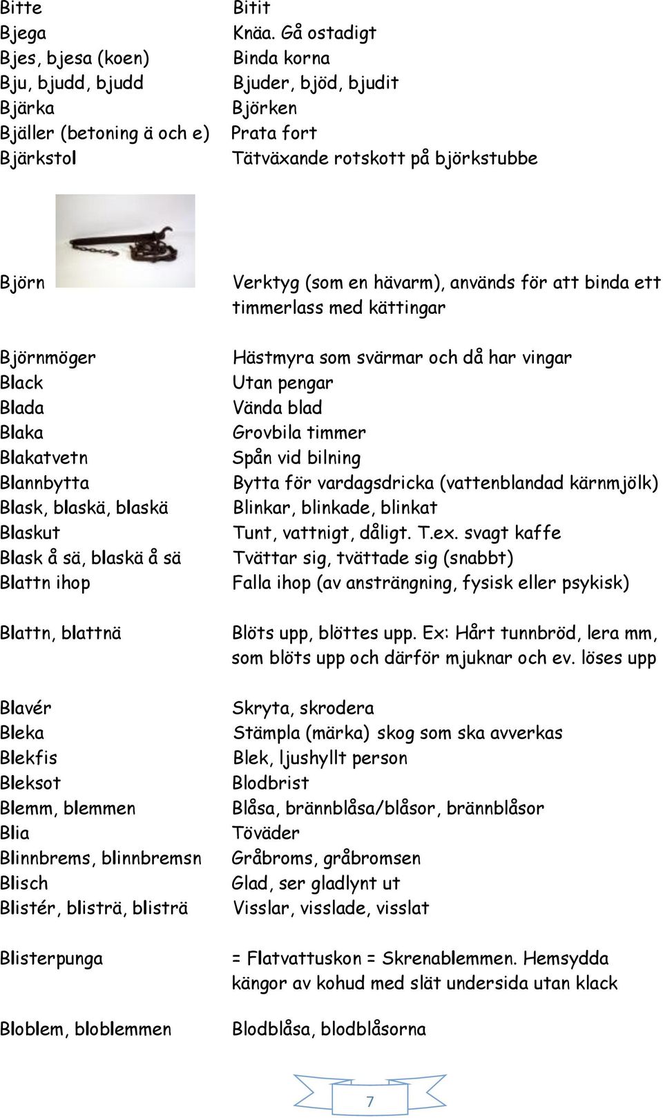 blaskä å sä Blattn ihop Blattn, blattnä Blavér Bleka Blekfis Bleksot Blemm, blemmen Blia Blinnbrems, blinnbremsn Blisch Blistér, blisträ, blisträ Blisterpunga Bloblem, bloblemmen Verktyg (som en