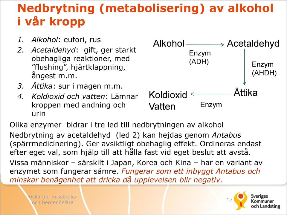 av acetaldehyd (led 2) kan hejdas genom Antabus (spärrmedicinering). Ger avsiktligt obehaglig effekt. Ordineras endast efter eget val, som hjälp till att hålla fast vid eget beslut att avstå.