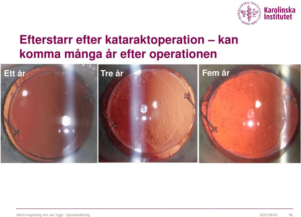 Ett år Tre år Fem år Maria Kugelberg