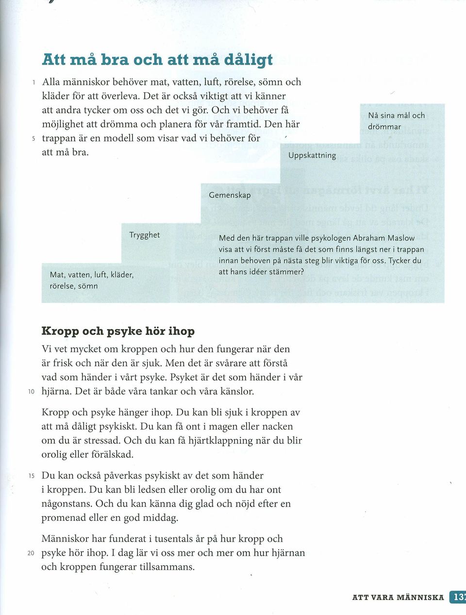 Uppskattning Nå sina drömmar mål och Gemenskap Trygghet Med den här trappan ville psykologen Abraham Maslow Mat, vatten, luft, kläder, rörelse, sömn visa att vi först måste få det som finns längst