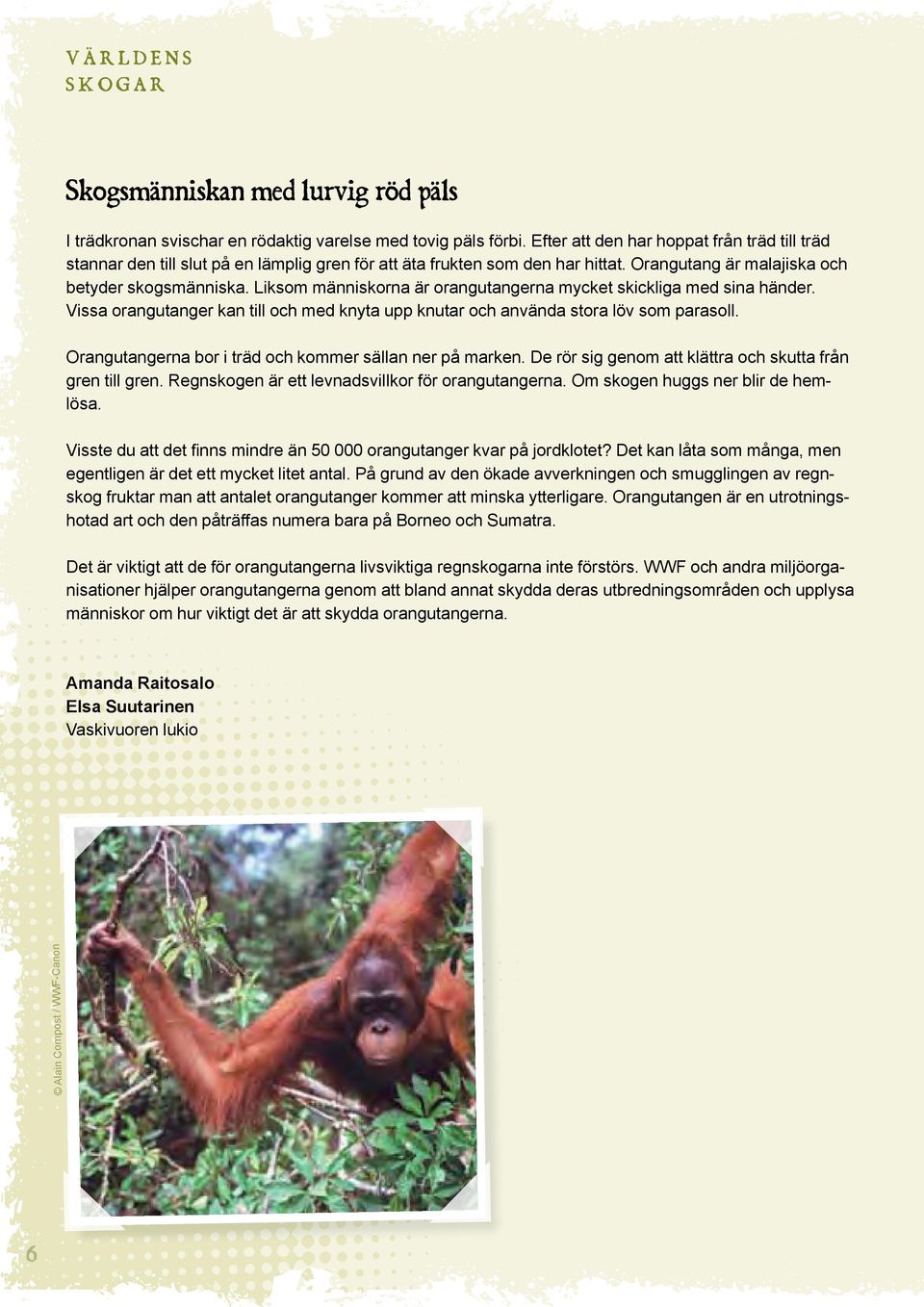 Liksom människorna är orangutangerna mycket skickliga med sina händer. Vissa orangutanger kan till och med knyta upp knutar och använda stora löv som parasoll.
