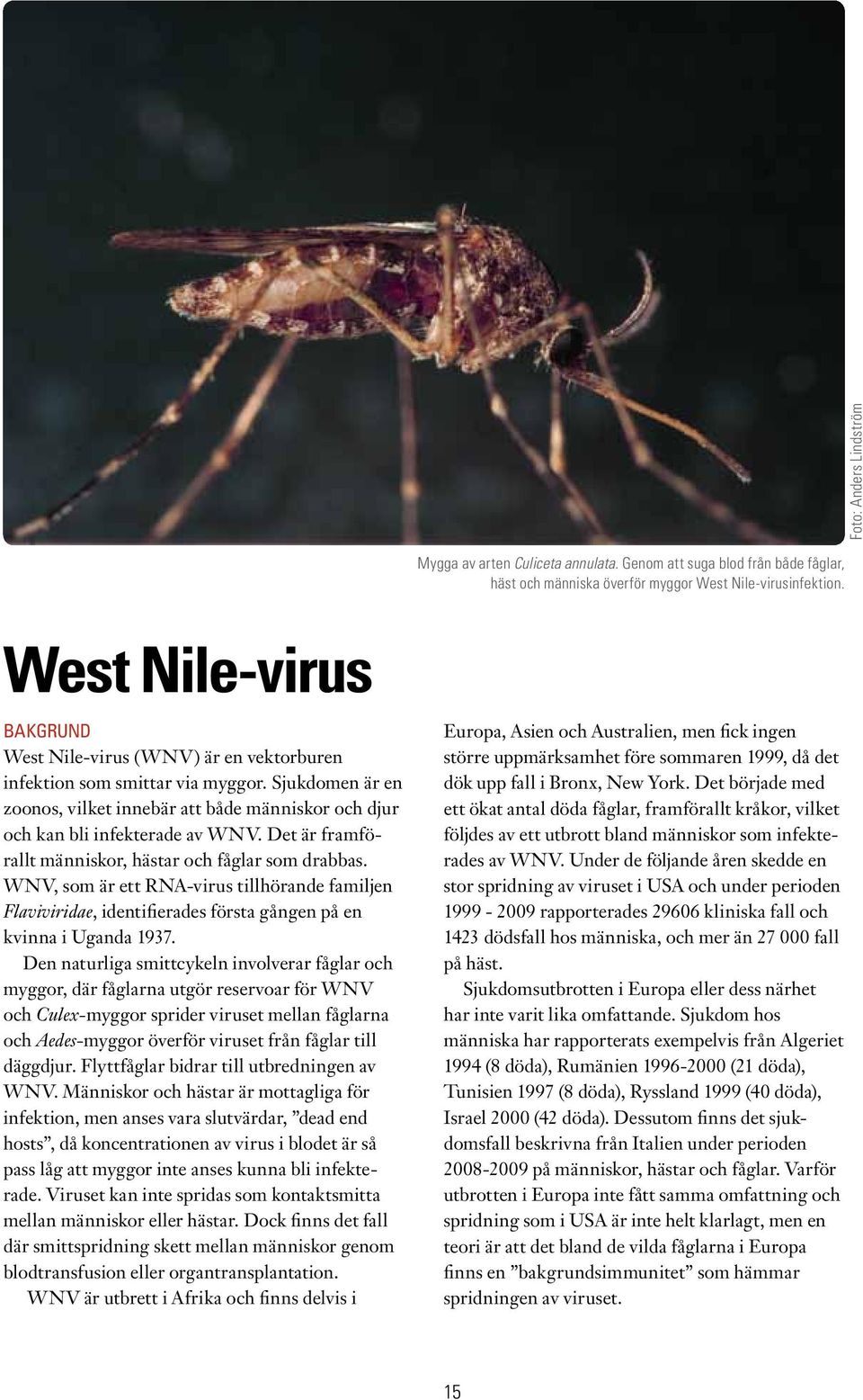 Det är framförallt människor, hästar och fåglar som drabbas. WNV, som är ett RNA-virus tillhörande familjen Flaviviridae, identifierades första gången på en kvinna i Uganda 1937.