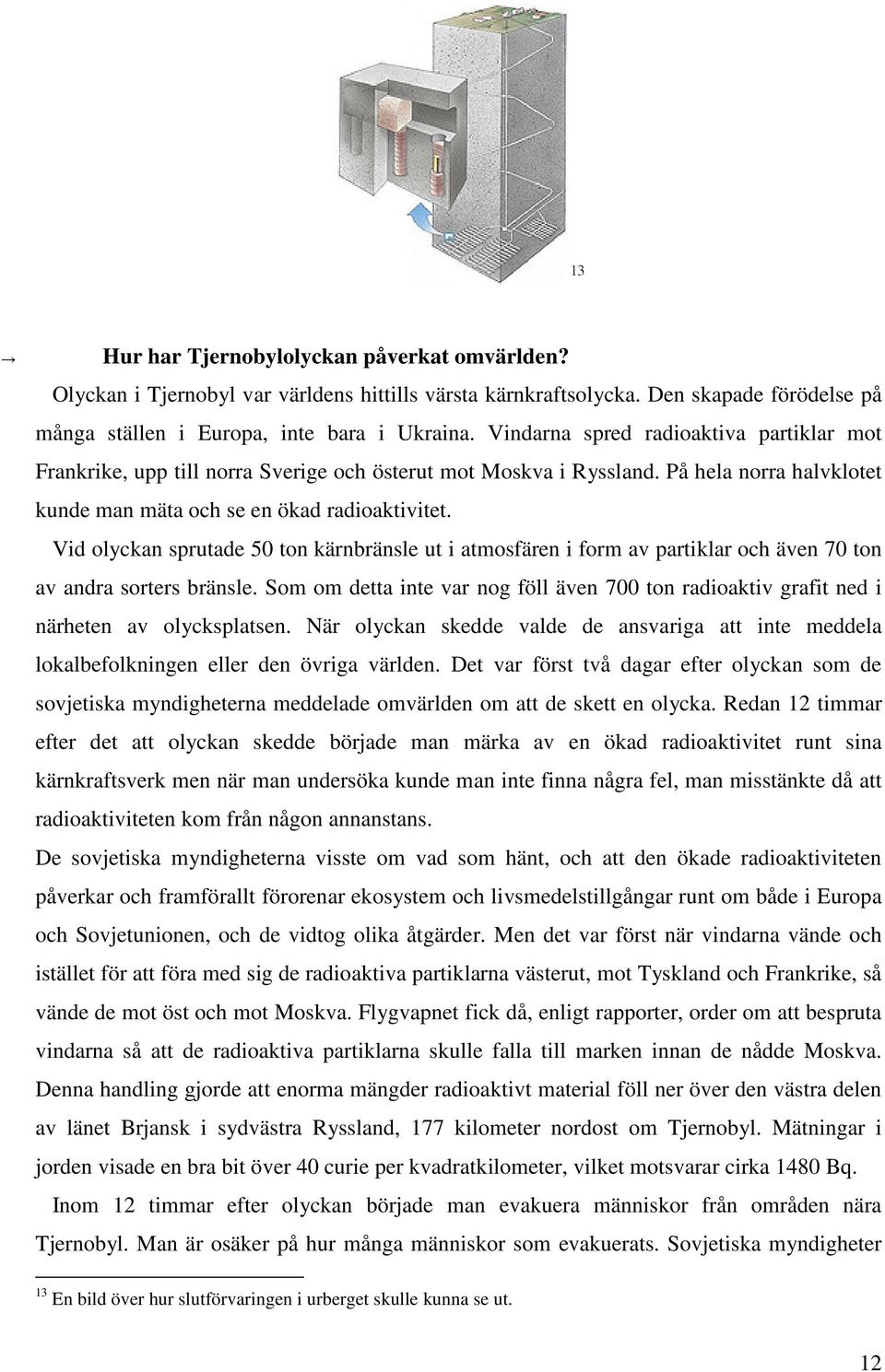 Vid olyckan sprutade 50 ton kärnbränsle ut i atmosfären i form av partiklar och även 70 ton av andra sorters bränsle.