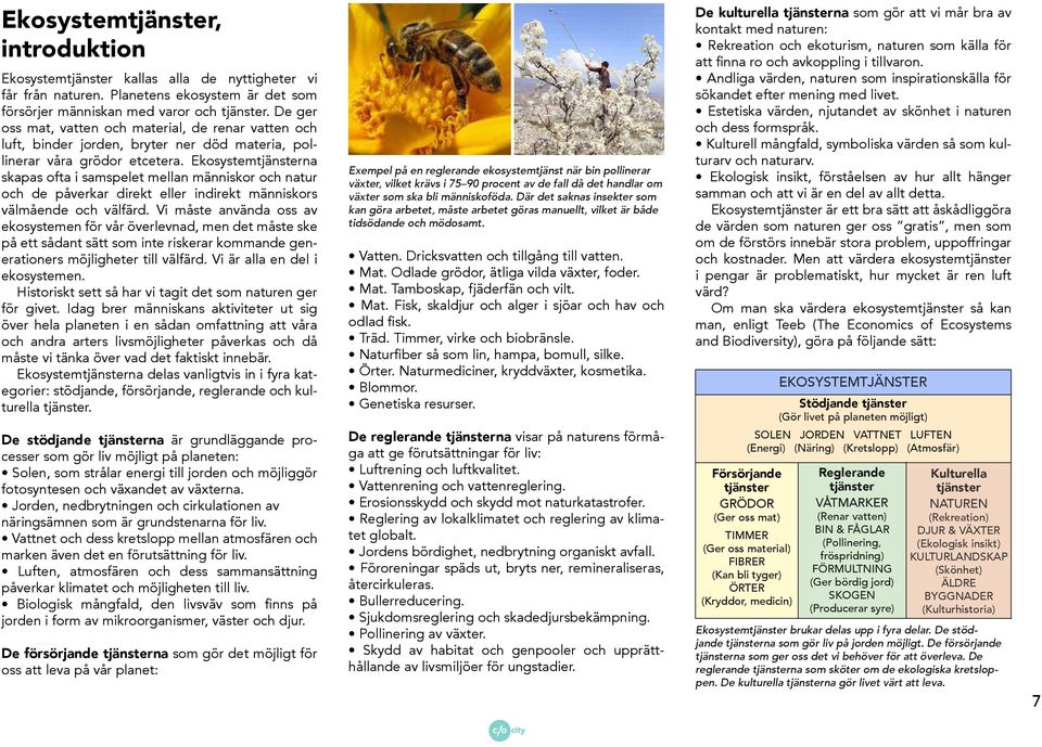 Ekosystemtjänsterna skapas ofta i samspelet mellan människor och natur och de påverkar direkt eller indirekt människors välmående och välfärd.