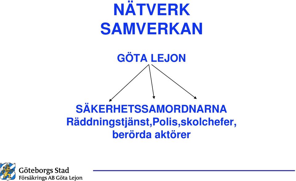 SÄKERHETSSAMORDNARNA