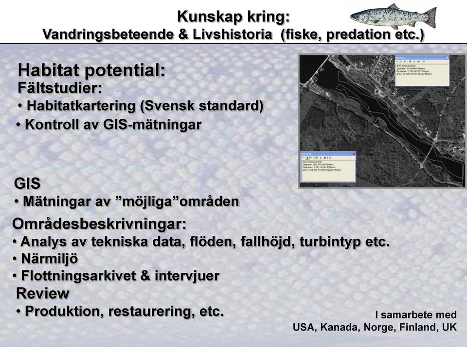 Mätningar av möjliga områden Områdesbeskrivningar: Analys av tekniska data, flöden, fallhöjd,