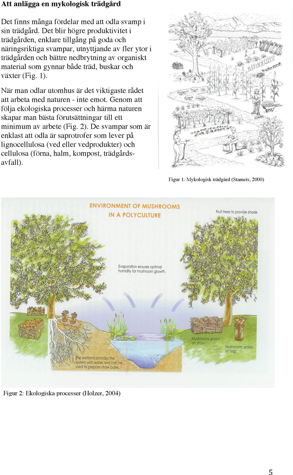 träd, buskar och växter (Fig. 1). När man odlar utomhus är det viktigaste rådet att arbeta med naturen - inte emot.