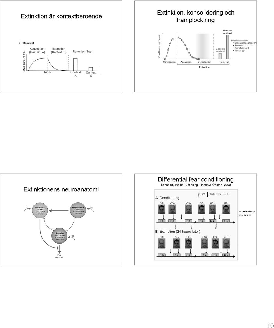 neuroanatomi Differential fear conditioning
