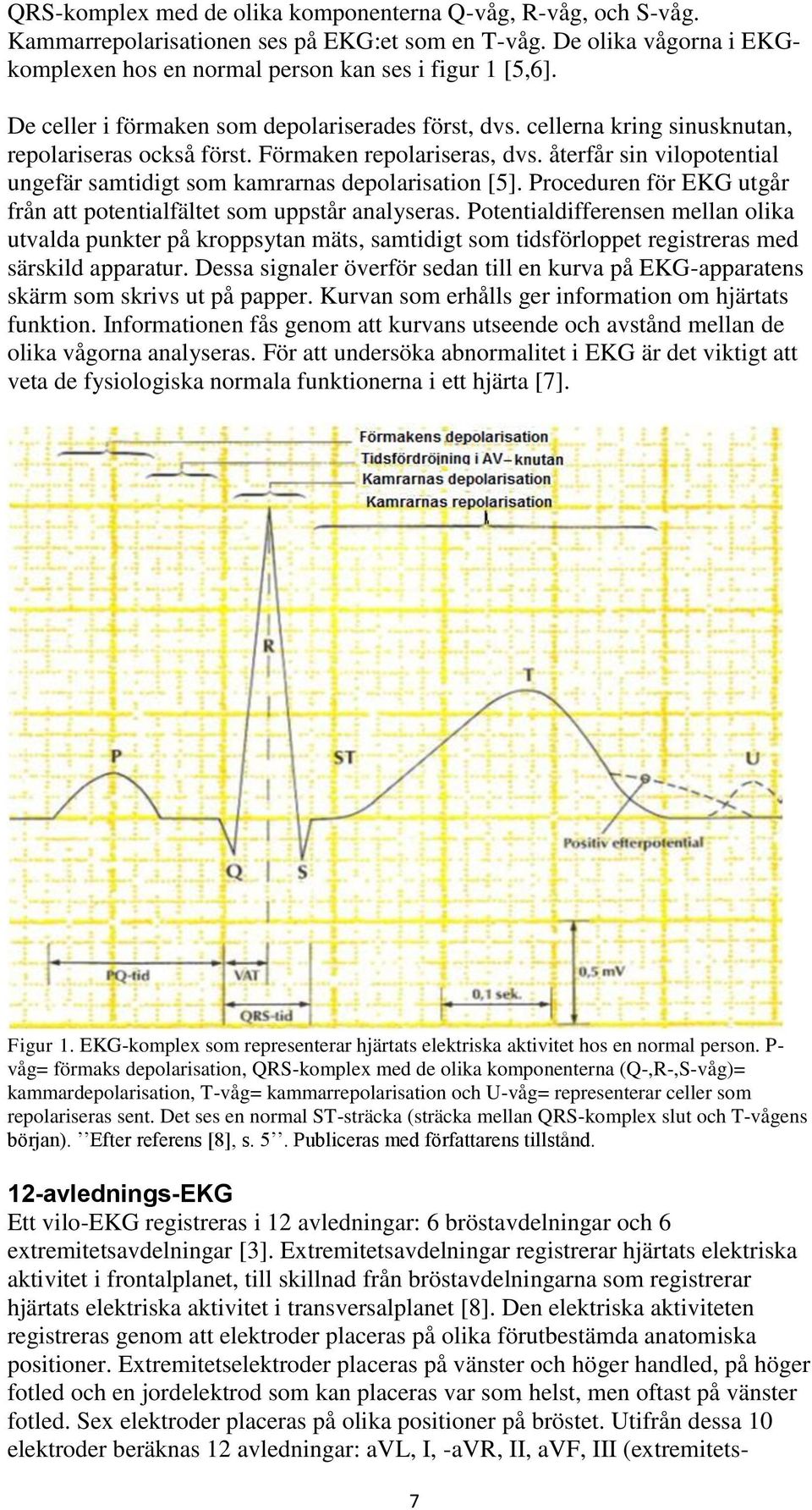 återfår sin vilopotential ungefär samtidigt som kamrarnas depolarisation [5]. Proceduren för EKG utgår från att potentialfältet som uppstår analyseras.